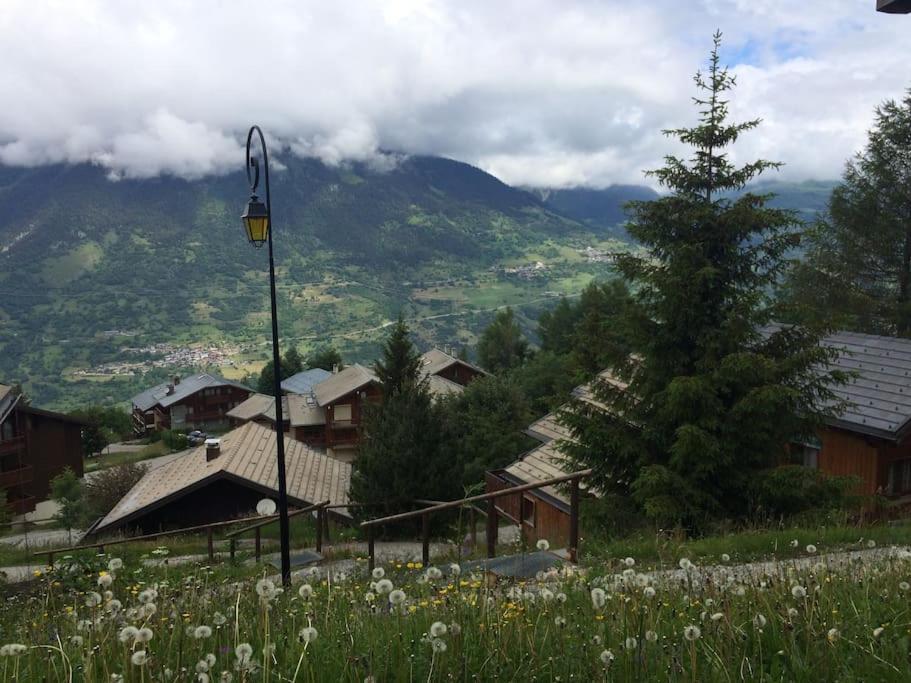 Chalet La Plagne Montalbert Pied Des Pistes 外观 照片